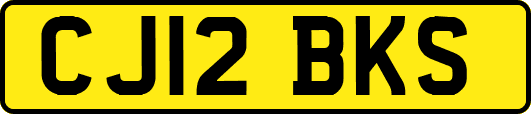 CJ12BKS