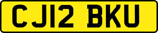 CJ12BKU