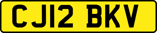 CJ12BKV