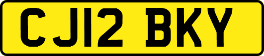 CJ12BKY