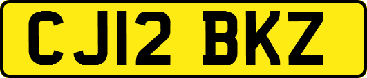 CJ12BKZ