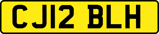 CJ12BLH