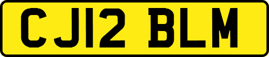 CJ12BLM