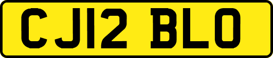 CJ12BLO