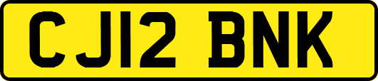 CJ12BNK