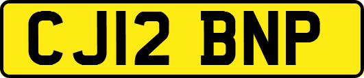 CJ12BNP