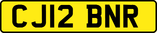 CJ12BNR