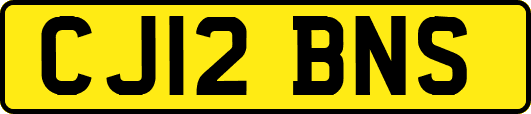 CJ12BNS