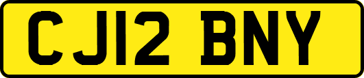 CJ12BNY