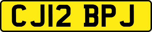 CJ12BPJ