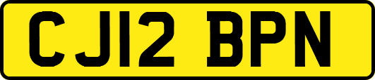 CJ12BPN