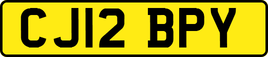 CJ12BPY