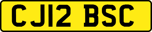 CJ12BSC