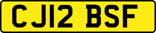 CJ12BSF