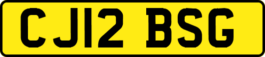 CJ12BSG