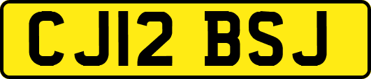 CJ12BSJ