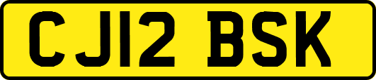 CJ12BSK
