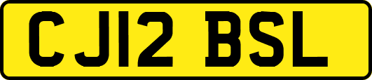 CJ12BSL