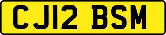 CJ12BSM