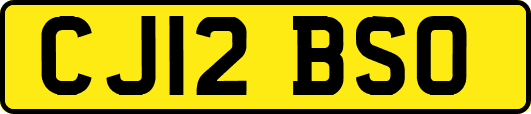 CJ12BSO
