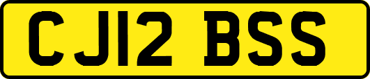 CJ12BSS