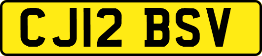 CJ12BSV