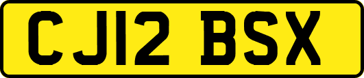 CJ12BSX
