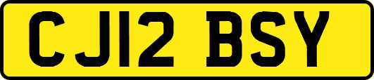 CJ12BSY