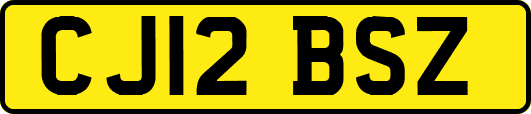 CJ12BSZ