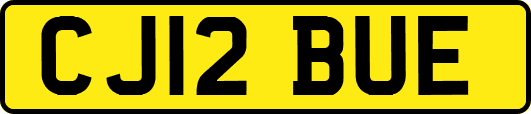 CJ12BUE