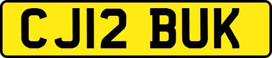 CJ12BUK