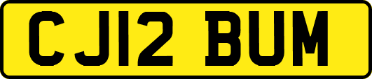 CJ12BUM