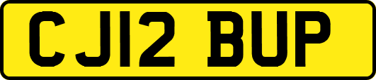 CJ12BUP