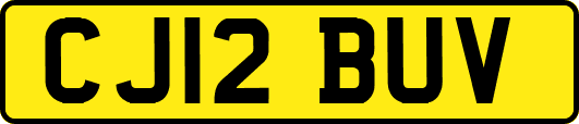 CJ12BUV