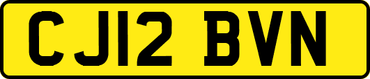 CJ12BVN