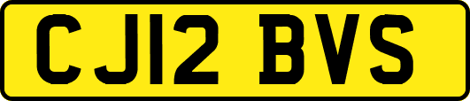 CJ12BVS