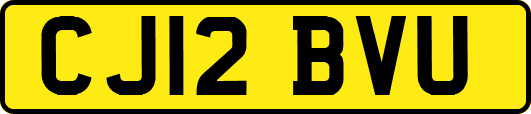 CJ12BVU