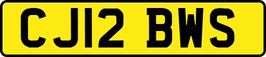 CJ12BWS