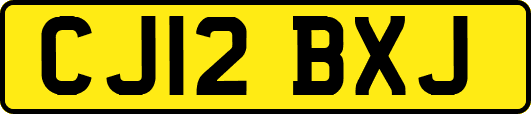 CJ12BXJ