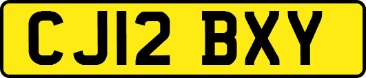 CJ12BXY