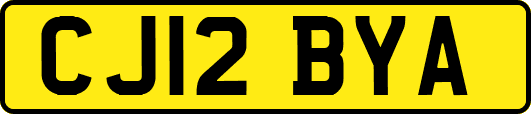 CJ12BYA