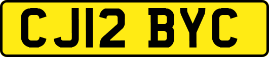 CJ12BYC