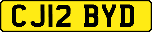 CJ12BYD