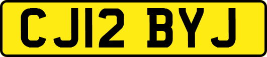 CJ12BYJ