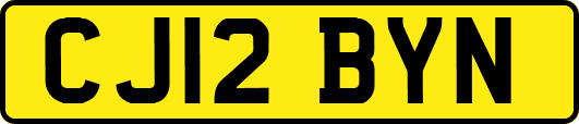 CJ12BYN