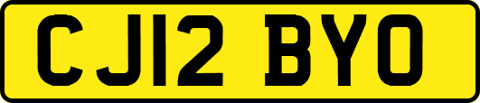 CJ12BYO