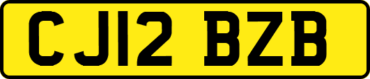 CJ12BZB