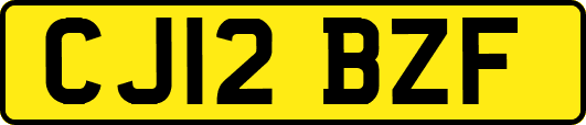 CJ12BZF
