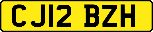 CJ12BZH