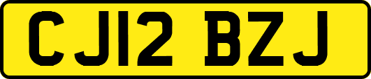 CJ12BZJ